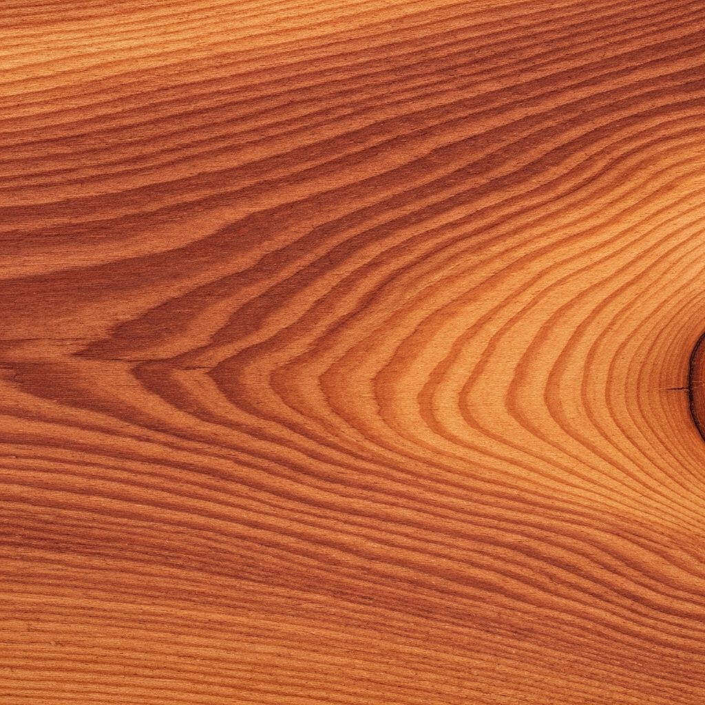 Лиственница